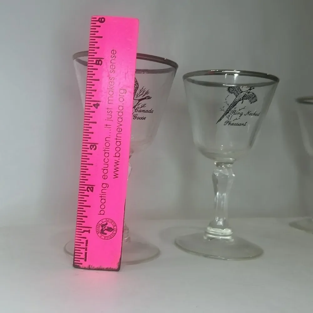Tiffin Pheasant Grouse Crystal Stem Cocktail Goblet 3 Oz Silver Trim Rim Set 2